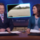 Illustration for article titled Man Stuck In Tree After Car Floods Gives Best Weather TV Interview Of All Time